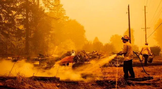 Un adolescente y su perro fallecieron al intentar escapar de los incendios forestales Un adolescente y su perro fallecieron al intentar escapar de los incendios forestales