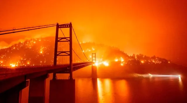 Un adolescente y su perro fallecieron al intentar escapar de los incendios forestales Un adolescente y su perro fallecieron al intentar escapar de los incendios forestales