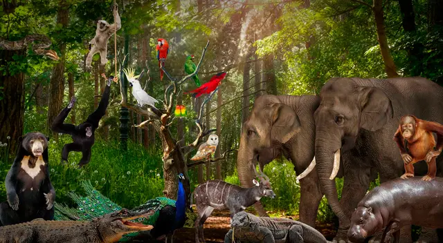 Vida silvestre. Vida silvestre.