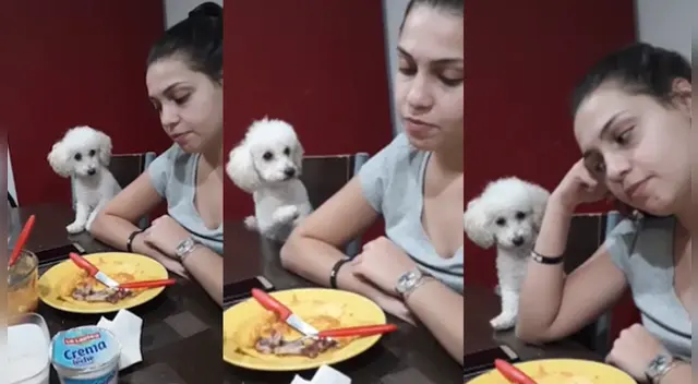 El clip cuenta con miles de reproducciones en Facebook. El clip cuenta con miles de reproducciones en Facebook.