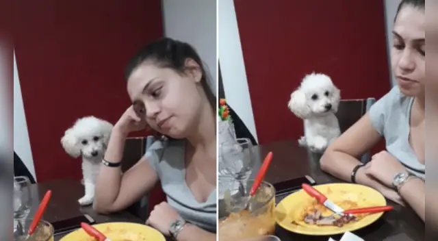 La divertida escena causó sensación en las redes sociales. La divertida escena causó sensación en las redes sociales.