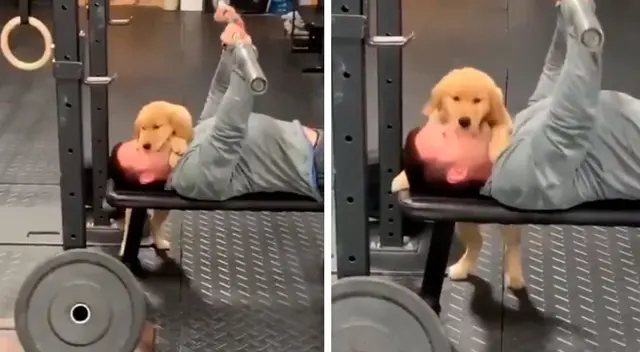 Perro interrumpe la rutina de ejercicios de su dueño para demostrarle todo su amor.