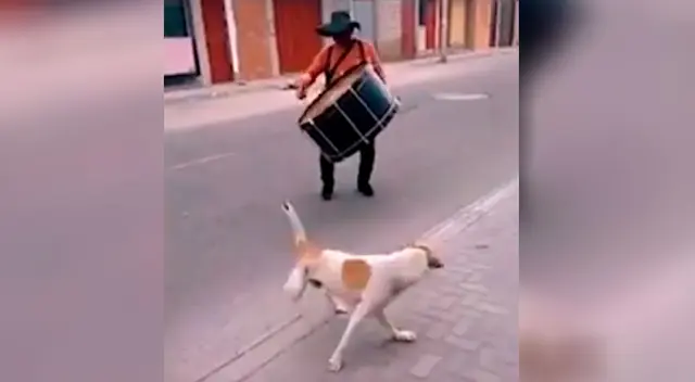 El perrito ha causado muchas risas entre los usuarios de TikTok. El perrito ha causado muchas risas entre los usuarios de TikTok.