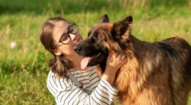 El curioso cachorro tiene un comportamiento que ha dejado sorprendidos a todos los internautas, ya que su dueña lo comprende y lo trata con mucho cariño El curioso cachorro tiene un comportamiento que ha dejado sorprendidos a todos los internautas, ya que su dueña lo comprende y lo trata con mucho cariño