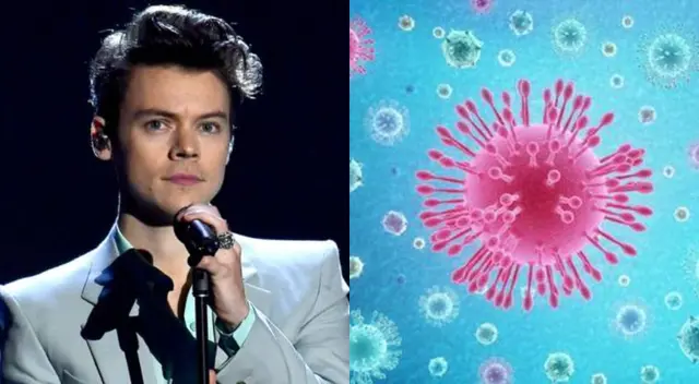 El cantante Harry Styles aseguró que espera poder hacer sus shows en 2021, pero que aún no puede confirmarlo debido a la pandemia. El cantante Harry Styles aseguró que espera poder hacer sus shows en 2021, pero que aún no puede confirmarlo debido a la pandemia.