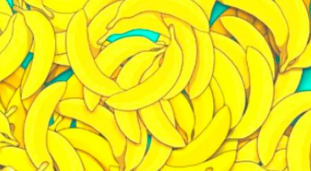 El nuevo reto visual que desafía tu paciencia El nuevo reto visual que desafía tu paciencia