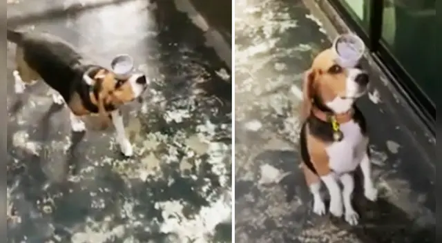 La escena causó el asombro de varios usuarios en las redes sociales.