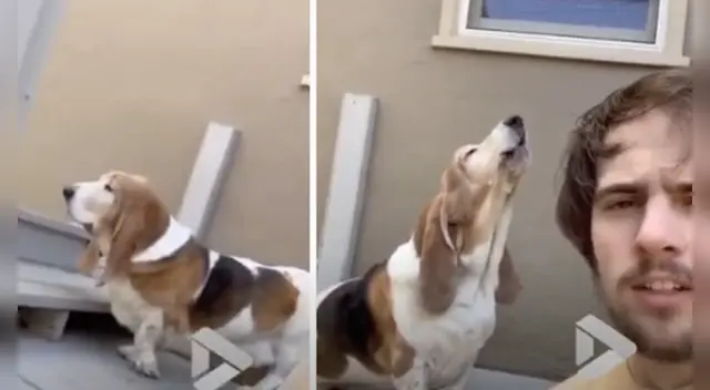 El clip cuenta con miles de reproducciones en YouTube. El clip cuenta con miles de reproducciones en YouTube.