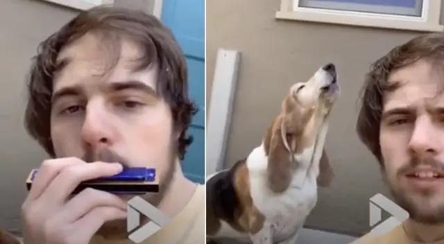 La cómica escena causó la risa de miles de internautas en las redes sociales. La cómica escena causó la risa de miles de internautas en las redes sociales.