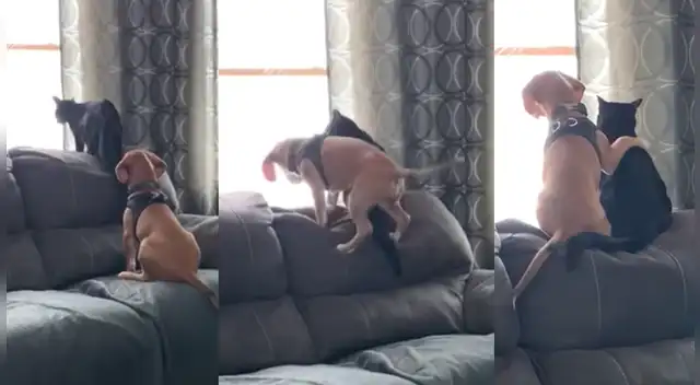 El clip cuenta con miles de reproducciones en YouTube.