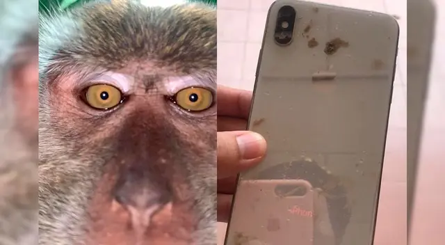 El joven encontró el móvil repleto de barro y un gran número de fotos.