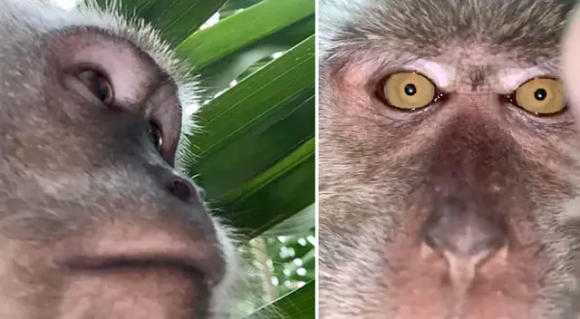 El joven encontró el móvil repleto de barro y un gran número de fotos.