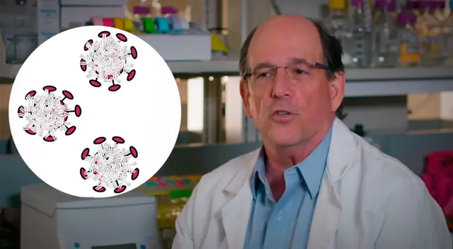 El coautor del estudio John Mellors, jefe de la División de Enfermedades Infecciosas de la Universidad de Pittsburgh. El coautor del estudio John Mellors, jefe de la División de Enfermedades Infecciosas de la Universidad de Pittsburgh.