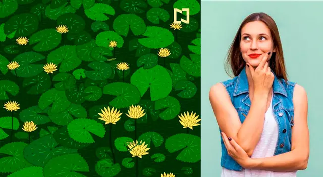 Reto viral: Encuentra los 5 animales en la imagen. Reto viral: Encuentra los 5 animales en la imagen.