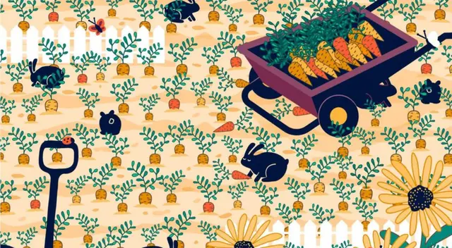 Reto de Facebook: Encuentra el anillo perdido en el jardín. Reto de Facebook: Encuentra el anillo perdido en el jardín.