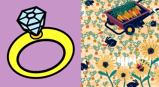 Reto de Facebook: Encuentra el anillo perdido en el jardín. Reto de Facebook: Encuentra el anillo perdido en el jardín.