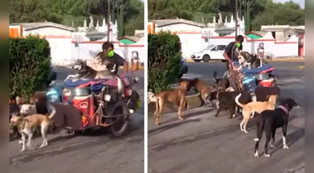 La emotiva escena se ha robado el corazón de miles de usuarios en las redes sociales. La emotiva escena se ha robado el corazón de miles de usuarios en las redes sociales.