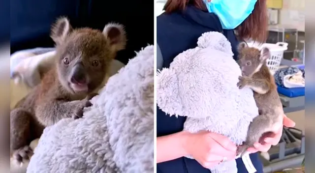 El clip cuenta con miles de reproducciones en YouTube.