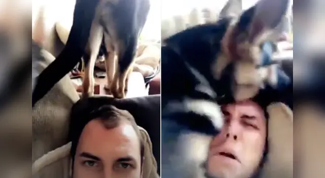 La escena causó la risa de varios usuarios en las redes sociales. La escena causó la risa de varios usuarios en las redes sociales.