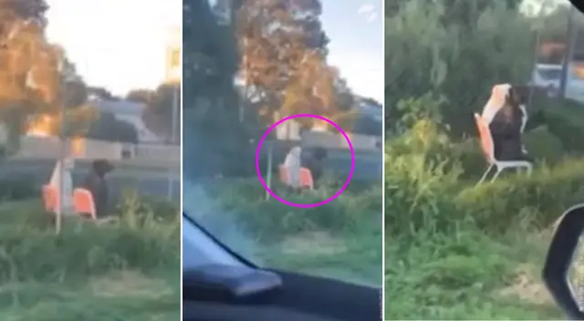 Dos cachorros fueron captados en plena charla en un parque de Estados Unidos. Los internautas se quedaron impresionados por el nivel de concentración de los animales. Dos cachorros fueron captados en plena charla en un parque de Estados Unidos. Los internautas se quedaron impresionados por el nivel de concentración de los animales.