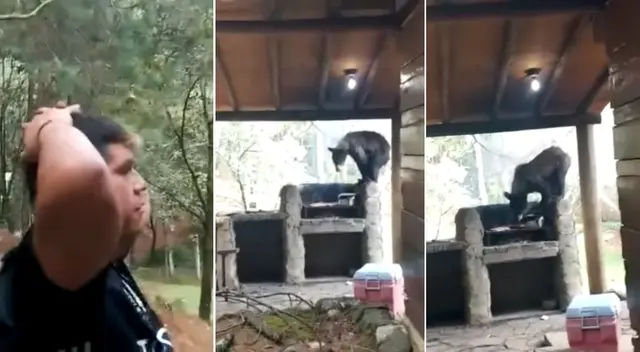 La osa robó parte del alimento que una familia estaba preparando.
