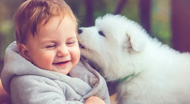 La madre compartió el video en Twitter generando la risa de cibernautas ante la peculiar reacción del can. La madre compartió el video en Twitter generando la risa de cibernautas ante la peculiar reacción del can.