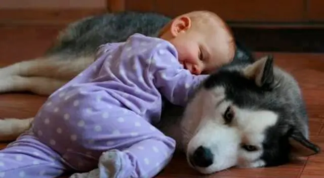 La madre compartió el video en Twitter generando la risa de cibernautas ante la peculiar reacción del can. La madre compartió el video en Twitter generando la risa de cibernautas ante la peculiar reacción del can.