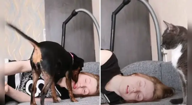 La escena causó la risa de varios usuarios en las redes sociales.