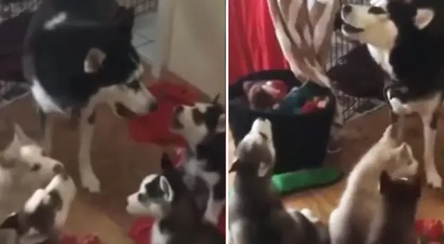 El clip cuenta con miles de reproducciones en YouTube. El clip cuenta con miles de reproducciones en YouTube.