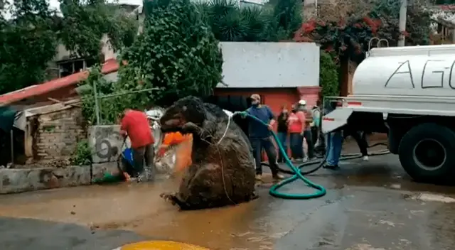 Las imágenes de un disfraz de rata gigante aterra a usuarios de Twitter.