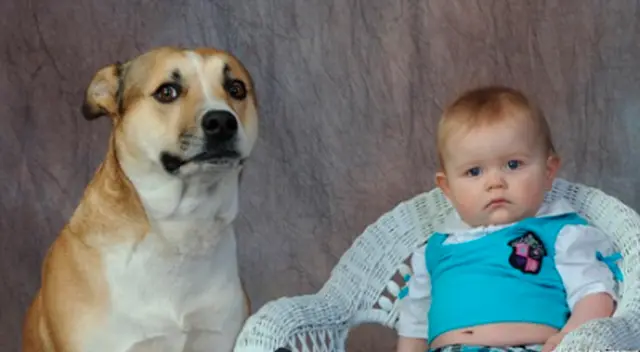 La madre compartió el video en Twitter generando la risa de cibernautas ante la peculiar reacción del can. La madre compartió el video en Twitter generando la risa de cibernautas ante la peculiar reacción del can.