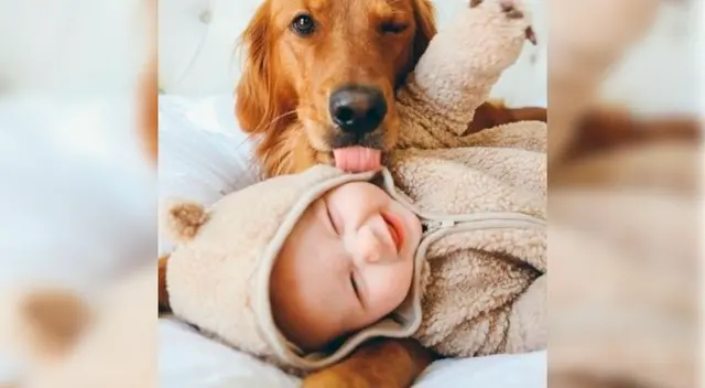 La madre compartió el video en Twitter generando la risa de cibernautas ante la peculiar reacción del can. La madre compartió el video en Twitter generando la risa de cibernautas ante la peculiar reacción del can.