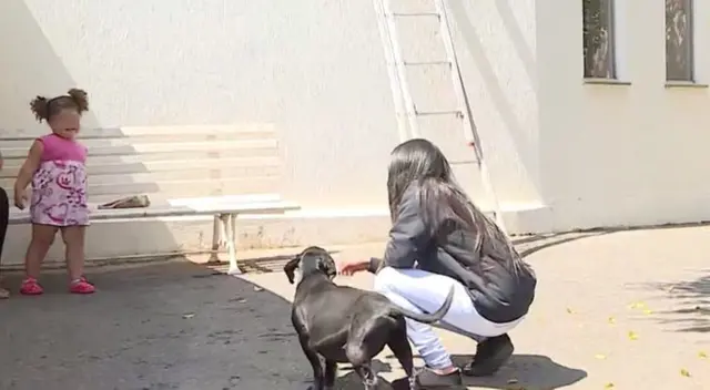 El perrito lleva esperando más de 10 años a su dueño. El perrito lleva esperando más de 10 años a su dueño.