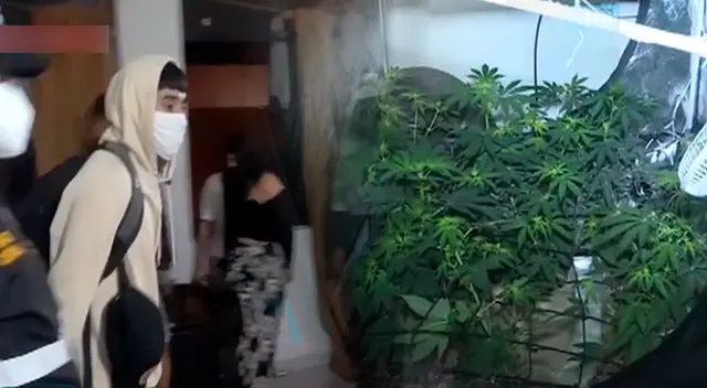 De ser el responsable, el joven de 26 años sería denunciado por el presunto delito de microcomercialización de drogas.