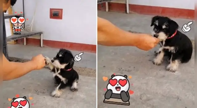 El clip cuenta con miles de reproducciones en TikTok.