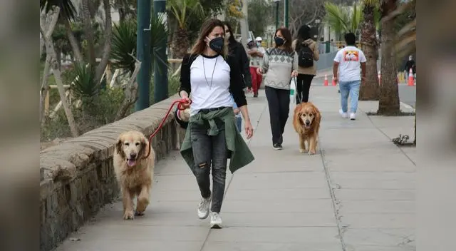Primer domingo sin inmovilización social