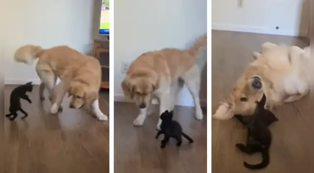 El clip cuenta con miles de reproducciones en YouTube. El clip cuenta con miles de reproducciones en YouTube.