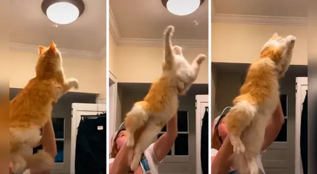 El clip cuenta con miles de reproducciones en Facebook. El clip cuenta con miles de reproducciones en Facebook.