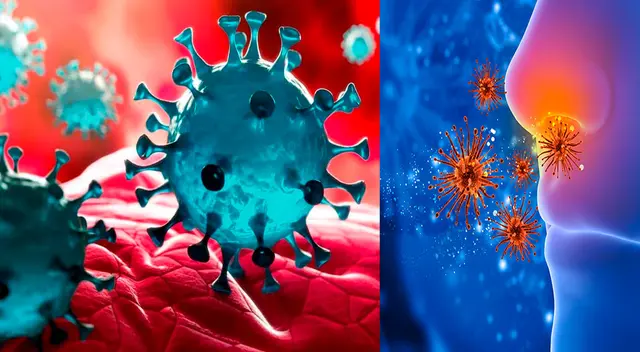 Centros para el Control y la Prevención de Enfermedades de Estados Unidos (CDC). Centros para el Control y la Prevención de Enfermedades de Estados Unidos (CDC).