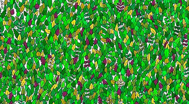 Encuentra a la rana camuflada entre las hojas