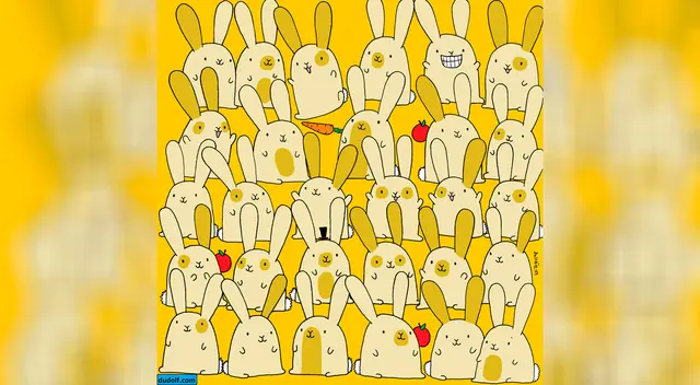 Reto visual: descubre al conejito sin su hermano gemelo. Reto visual: descubre al conejito sin su hermano gemelo.