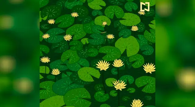 El reto visual más complicado de Facebook El reto visual más complicado de Facebook