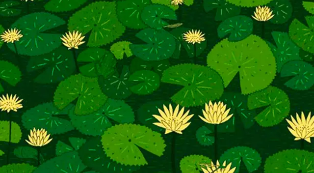 El reto visual más complicado de Facebook El reto visual más complicado de Facebook