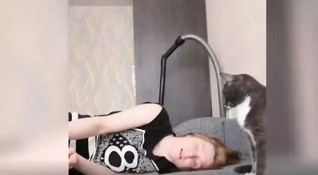 La joven quiso poner a prueba a su perro y gato y decidió ‘desmayarse’, pero lo que no se imaginó es ambos reaccionarían de manera totalmente diferente.