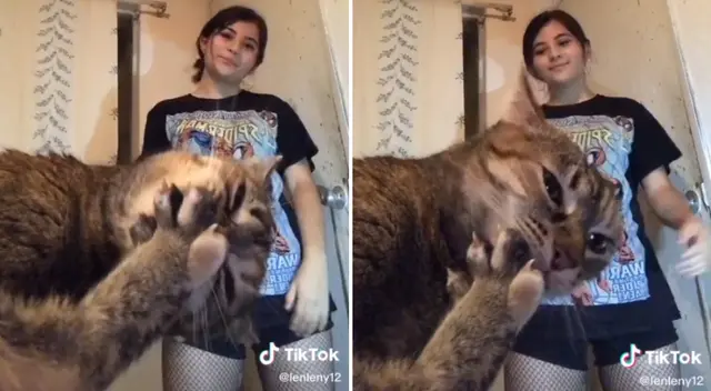El gato esperó a que su dueña empezara a grabar su reto de baile de TikTok.