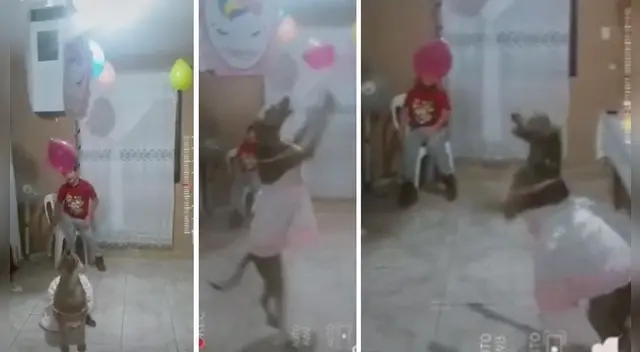 La escena causó la risa de varios usuarios en las redes sociales. La escena causó la risa de varios usuarios en las redes sociales.