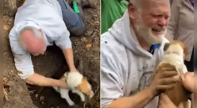 La emotiva escena se ha robado el corazón de miles de usuarios en las redes sociales.