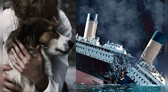 La historia a conmovido a miles de usuarios en las redes sociales.