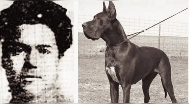 "No voy a abandonarte", fueron las últimas palabras que le dijo la mujer a su mascota.