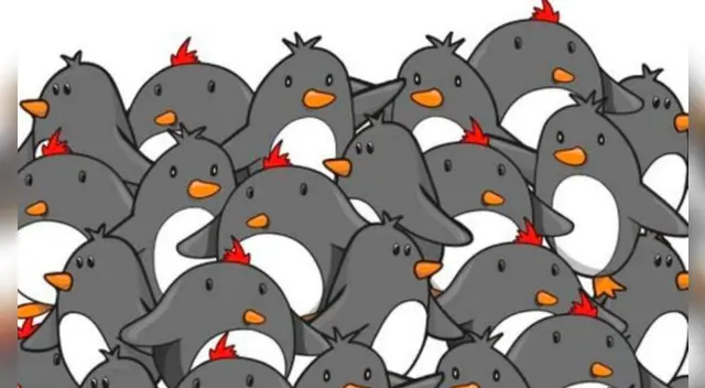 Tienes pocos segundos para encontrar al animal escondido en la imagen viral.